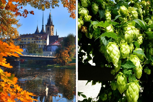 Louny a chmel