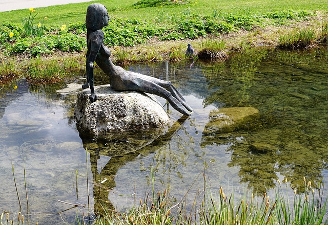 socha ve vodě